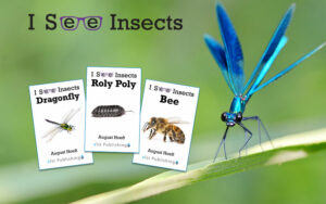 I see Insects web banner.