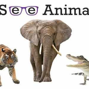 I See Animals