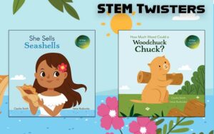 STEM Twisters Web Banner